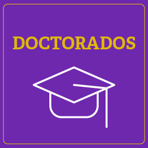 DOCTORADO.jpg